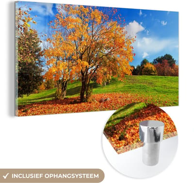 MuchoWow® Glasschilderij 40x20 cm - Schilderij acrylglas - Boom - Bladeren - Herfst - Seizoenen - Foto op glas - Schilderijen