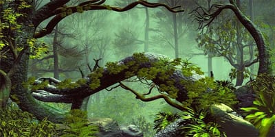 24x30cm Foggy Forest Terrarium Background Stone Green Tree Tropical Reptiles Habitat Background Rainforest Aquarium - ShopVlot