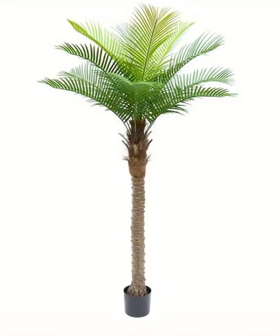 Kunstplant Palmboom - Cycas Palm - 160 cm - Inclusief Pot - Realistisch - Kunstboom voor Binnen - Woonkamer & Kantoor
