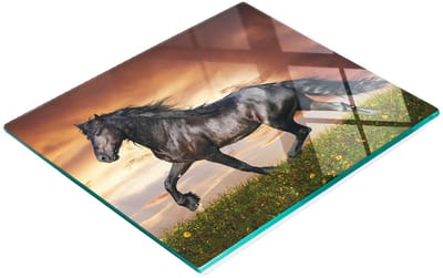 Duurzame en stijlvolle snijplank van gehard glas met paardenmotief, 60x52 cm