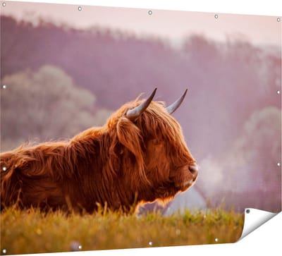 Gards Tuinposter Schotse Hooglander Koe Ligt in het Gras - 160x120 cm - Tuindoek - Tuindecoratie - Wanddecoratie buiten - Tuinschilderij