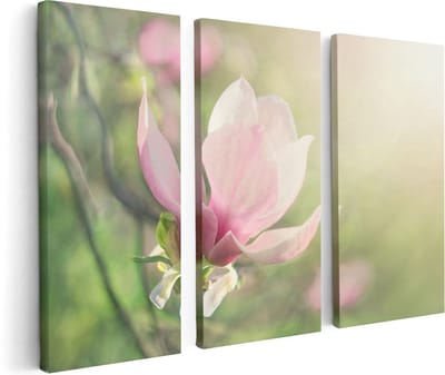 Artaza Canvas Schilderij Drieluik Roze Magnolia Bloem  - 120x80 - Foto Op Canvas - Canvas Print