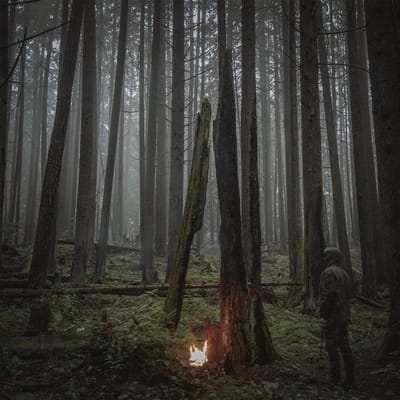 Baptists - Beacon Of Faith (LP)