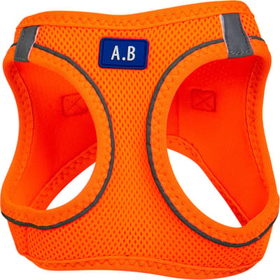 Animal Boulevard Ab32214 - Hals- En Leibanden - Hond - Ab Air-mesh Comfortharnas Oranje-xxxs 1,5-3kg - Maat: Xxxs 1,5-3kg - 205628