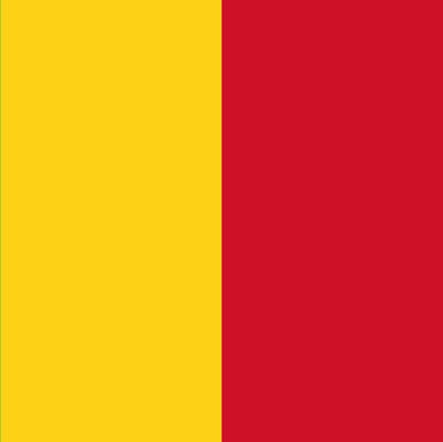 Vlag Mali 70x100cm