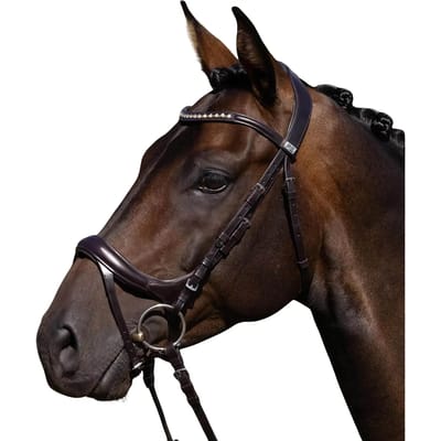 Paardentuig Premier Equine Palazzo