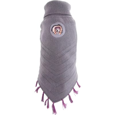 Hondentrui Martin Sellier Teo Apache