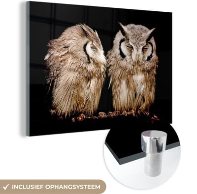 MuchoWow® Glasschilderij 120x80 cm - Schilderij acrylglas - Uil - Vogel - Zwart - Foto op glas - Schilderijen