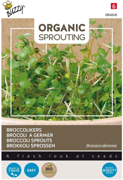Buzzy® Organic Sprouting Broccolikers (BIO) - Gezonde en voedzame microgreens met een pittige smaak