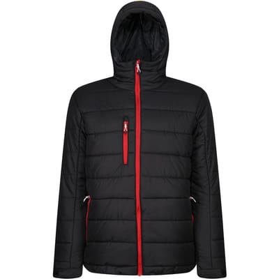 Regatta Thermisch gewatteerd jack voor heren (Zwart/Klassiek Rood)