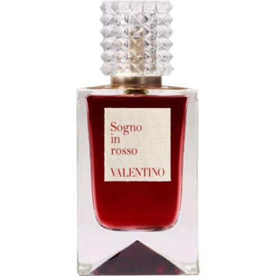 Valentino Droominterpretatie Premium Rode Rok Rebellion Perfumes Houtachtige Tonen Eau De Parfum EDP 100ml|Box Not Included Shopping Bag