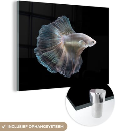 MuchoWow® Glasschilderij 160x120 cm - Schilderij acrylglas - Vis - Staart - Wit - Foto op glas - Schilderijen