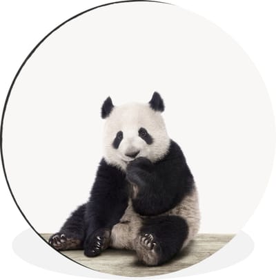 WallCircle - Wandcirkel - Muurcirkel - Panda - Dieren - Kinderen - Jongens - Meisjes - Pandabeer - Aluminium - Dibond - 140x140 cm - Binnen en Buiten