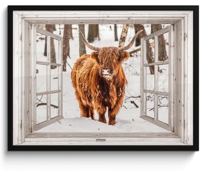 Poster in lijst - Fotolijst 70x50 cm - Posters - Schotse Hooglander - Sneeuw - Winter - Natuur - Dier - Doorkijk - Landelijk - Posterlijst zwart - Decoratie - Wanddecoratie woonkamer - Muurdecoratie slaapkamer