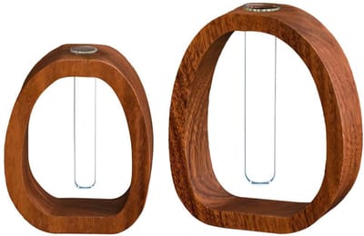 Dailygoods- Reageerbuisvaas Transparant - Plantenvaas van Hout/Glas - Hydrocultuur Vaas - Tafeldecoratie - Ruimtebesparend Ontwerp - Multifunctioneel Gebruik - Bloemenvase