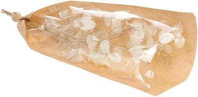Gedroogde Lunaria Stengels - Eerlijkheid Bloemen - Decoratief Binnen - Natuurlijke Zaaddozen - 70 cm - Wit