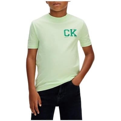 Calvin Klein Boys Ck Chest Logo Ss T-shirt Patina Green Taglia: 4 | T-shirt Outlet | kids | Verde