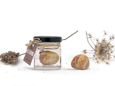 Potje Bescherming - Versteend Hout Steen | Edelsteen Cadeau voor Rust & Bescherming