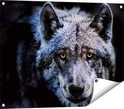 Gards Tuinposter Grijze Wolvenkop - Wolf - 80x60 cm - Tuindoek - Tuindecoratie - Wanddecoratie buiten - Tuinschilderij