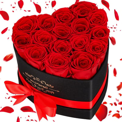 Eeuwige Rozen Hart Cadeaubox - Gepreserveerde Bloemen - Romantisch Cadeau Geven - Onderhoudsvrije Schoonheid - 16 Rozen 14x14x17cm - Rood
