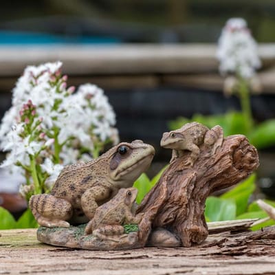 HotAnt Tuinbeeld dieren - Speelse Kikkers op Boomstronk (Polystone) - Voor buiten - Tuin decoratie - Cadeau