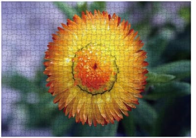 Houten Legpuzzel 1000 Stukjes voor Volwassenen en Familie