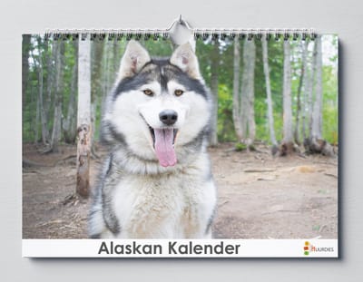 Huurdies - Verjaardagskalender - Alaskan Malamute - A3