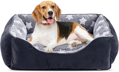 Zacht hondenbed - Antislip - Geschikt voor kleine honden - Pluche materiaal - 51x48x18 cm