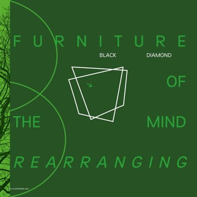 Furniture Of The Mind Rearranging - Black Diamond