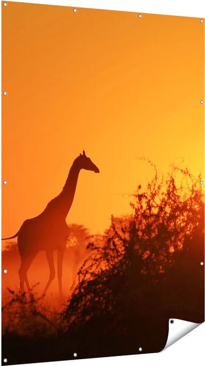 Gards Tuinposter Drie Giraffe Silhouetten bij Zonsondergang - 120x180 cm - Tuindoek - Tuindecoratie - Wanddecoratie buiten - Tuinschilderij