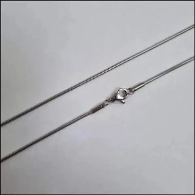 Aramat Jewels | Halskettingen | Zilverkleurige Slangenketting RVS – Ronde Snake Chain Dames Staal | 2mm / 60cm |60cm | | Staal | Volwassenen | Verkleurd niet