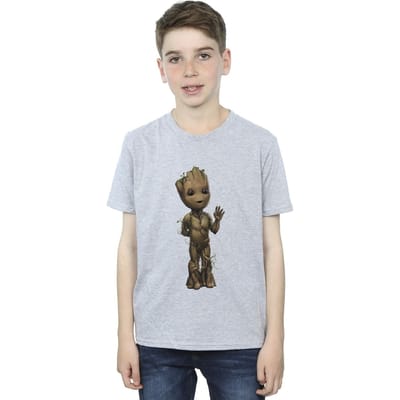Marvel Jongens Ik Ben Groot Golf Positie T-Shirt (Sportgrijs)