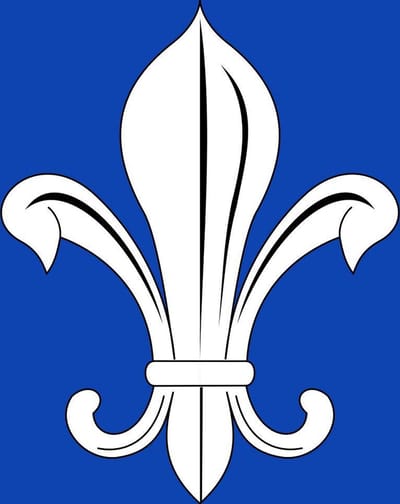 Vlag Mesen 100x150cm