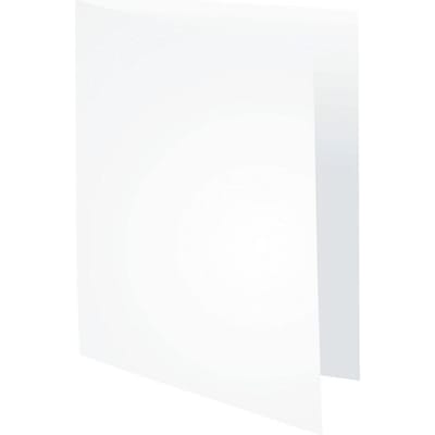 Exacompta ROCK''S 80 - Pak van 100 inlegmappen 22x31cm voor A4 - Wit - 800017E