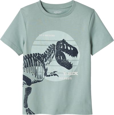 Vertbaudet Jongensshirt met grote dinosaurusprint