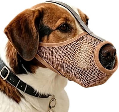 Hondenmuilkorf - Mondbedekking Hond - Veilige Wandelingen - Verbeterde Nachtzichtbaarheid - Lichtgewicht Ontwerp - Kaki