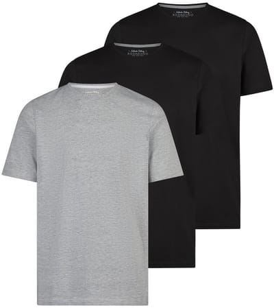 Redmond Heren t-shirt 3 pack Basic