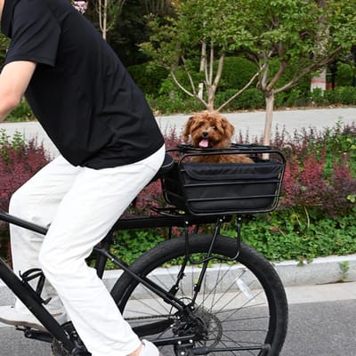 Fietsmand - Dierentransportmand - Vervoer huisdier - Afsluitbaar deksel - 30 x 23 x 21.5 cm - Zwart