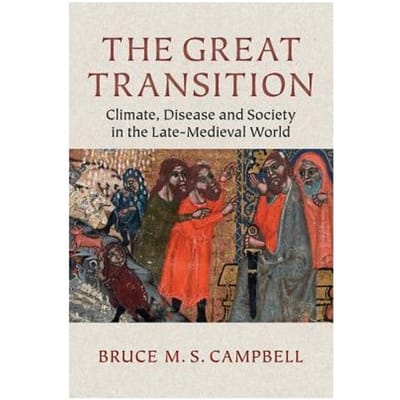 The Great Transition - Bruce M. S. (Queen's University