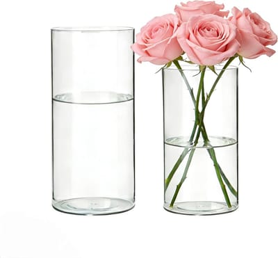 Shatterproof Transparante Acrylaat Vaasje - Lichtgewicht Cilindrische Bloemenvaas voor Woonkamer, Slaapkamer en Kantoor - Moderne Decoratieve Vaas 10x25cm & 12x30cm
