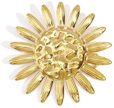 Roestvrijstalen broches bloemen casual dagelijks eenvoudig serie dames sieraden