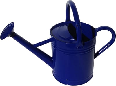 Gieter Metaal - Waterkan - Planten Water Geven - Verwijderbare Rozet - 35 Liter - Blauw