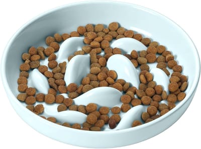 Slow Feeder Kattenbak van Keramiek, Ideaal voor Nat en Droog Voer, Spill Resistant Ontwerp voor Katten en Honden