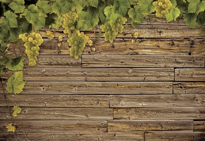 Fotobehang Wooden Wall Grapes | XL - 208cm x 146cm | 130g/m2 Vlies