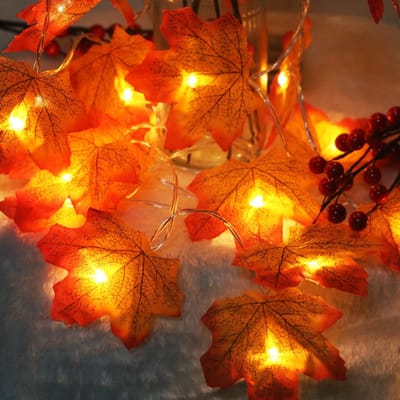 Dailygoods - Esdoorn Snaarlampen 6 Meter met 40 LED Lichten voor Halloween Decoratie