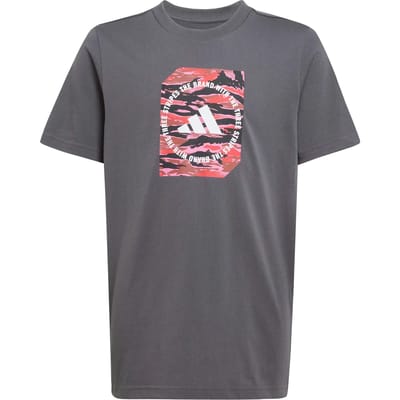 Adidas Camo Box T-shirt Met Korte Mouwen Grijs 9-10 Years Jongen