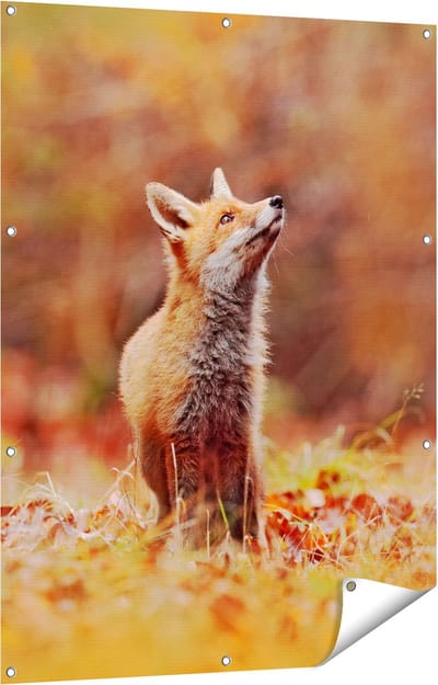 Gards Tuinposter Vos in het Bos tussen de Bladeren - 90x120 cm - Tuindoek - Tuindecoratie - Wanddecoratie buiten - Tuinschilderij