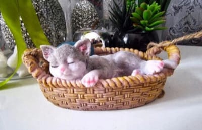 Slapend Katje in Mandje – Polystone Hangdecoratie – 18 x 11 x 8 cm