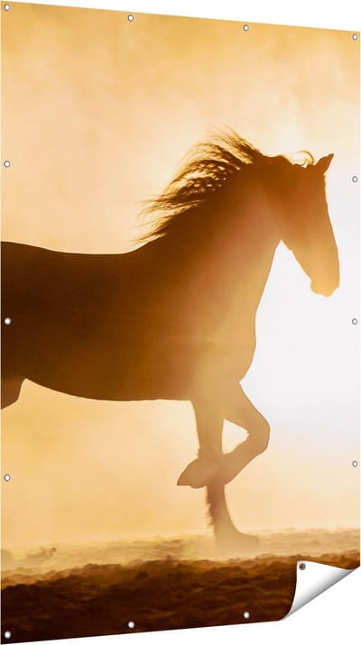 Gards Tuinposter Silhouet van een Paard - 120x180 cm - Tuindoek - Tuindecoratie - Wanddecoratie buiten - Tuinschilderij