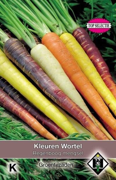 5 stuks Kleuren wortel, Daucus carota Regenboog Mengsel F1 Van Hemert & Co